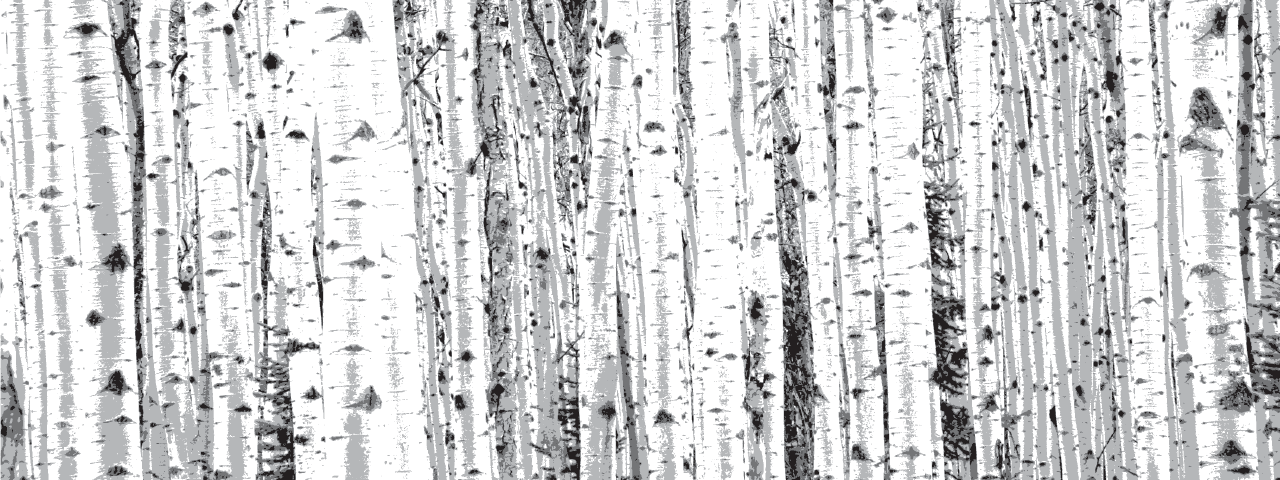 WHITE BIRCH Restaurant