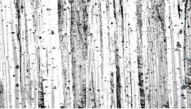 WHITE BIRCH Restaurant